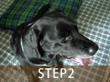 STEP2.カウンセリング