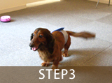 STEP3.トレーニング開始
