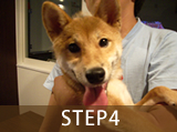 STEP4.トレーニング終了