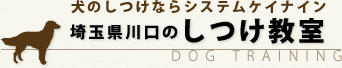 犬のしつけ教室｜埼玉県（川口市・蕨市）【システムケイナイン】